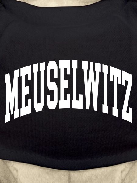 Meuselwitz