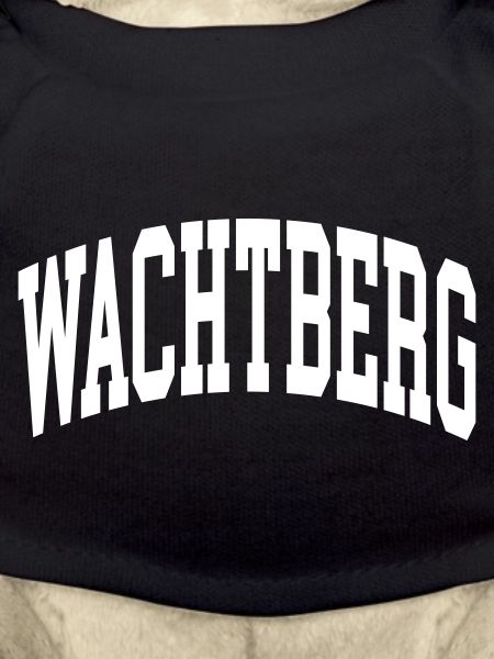 Le Wachtberg