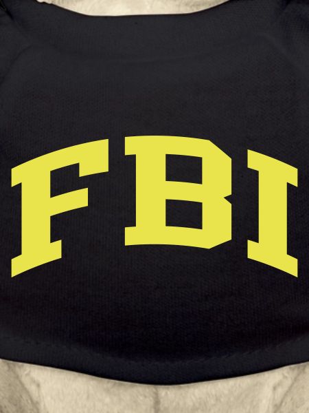 FBI