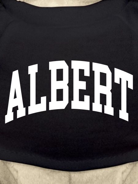 Albert