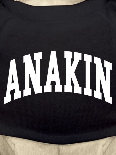 Anakin