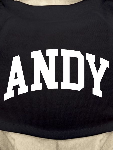 Andy