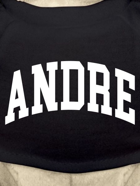 Andre