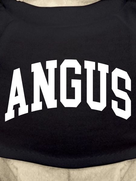 Angus