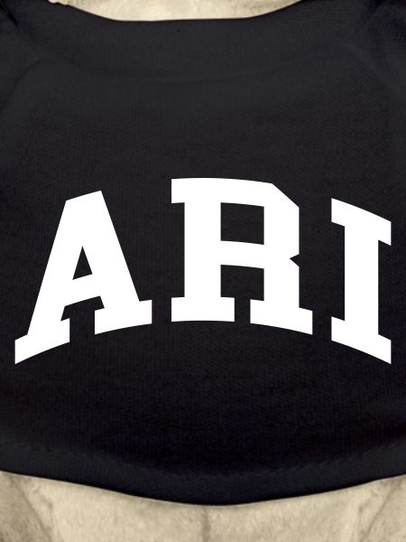 Ari