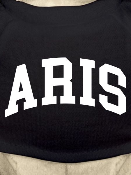 Aris
