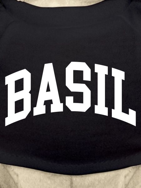 Basil