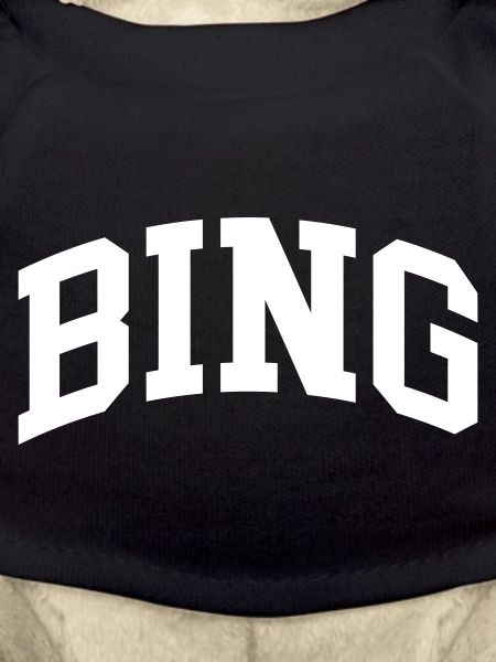 Bing
