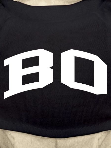 Bo