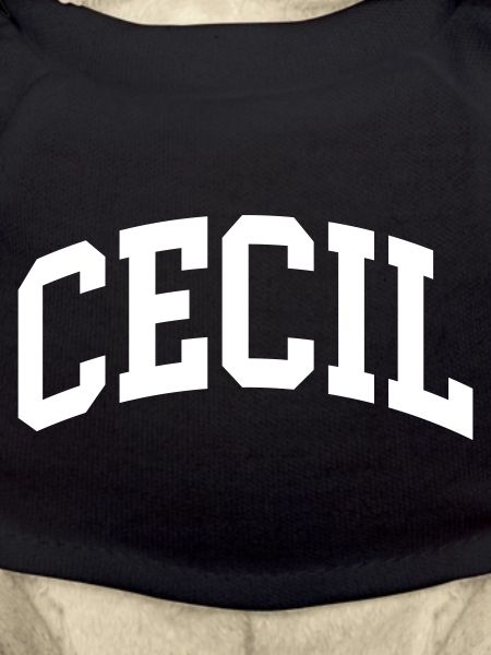 Cecil
