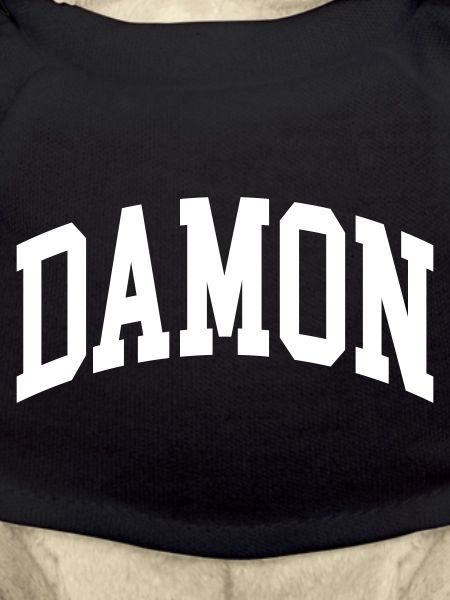 Damon