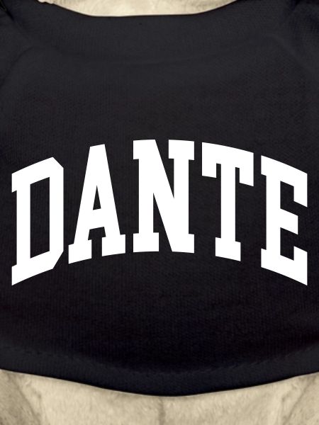 Dante