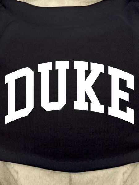 Duc