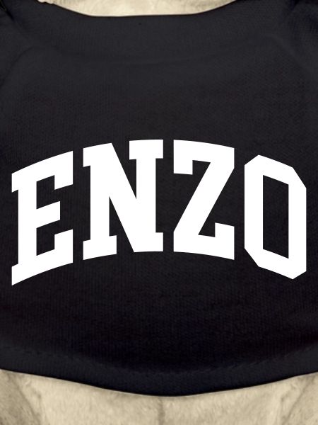 Enzo