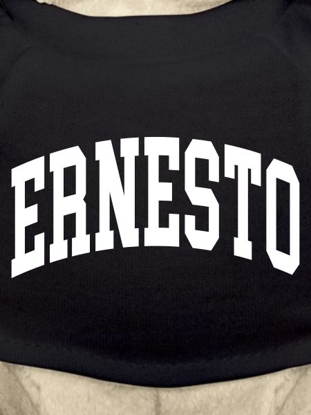 Ernesto