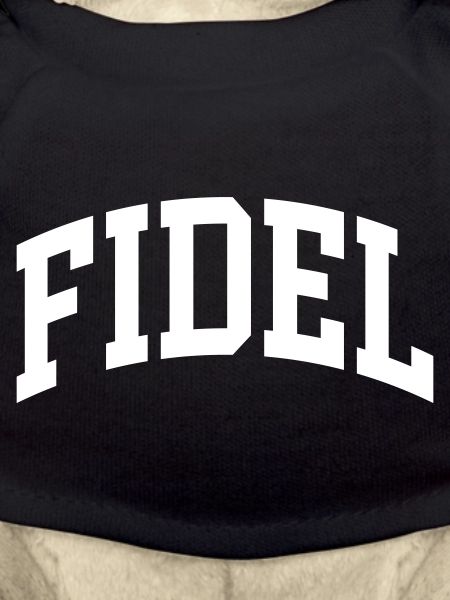 Fidel