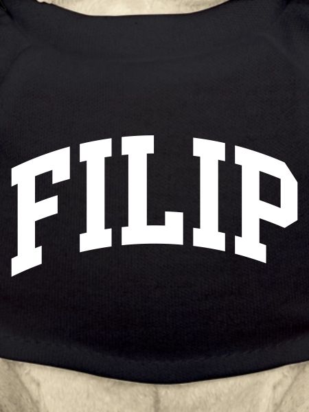 Filip