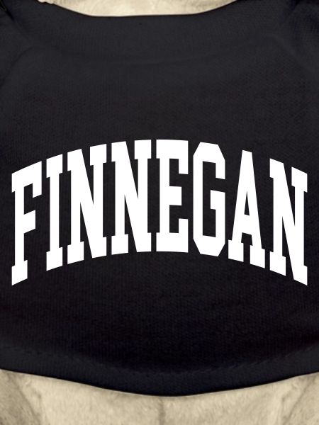 Finnegan