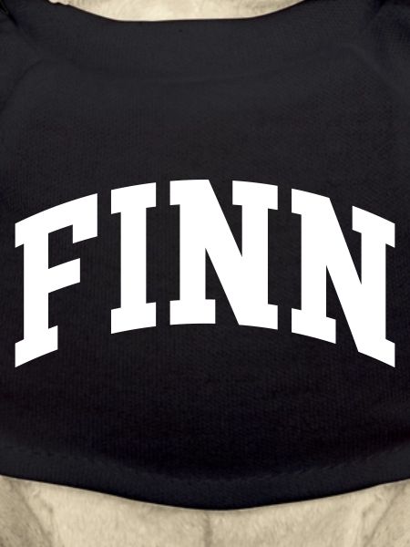 Finn