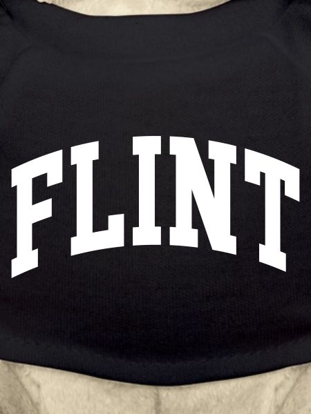 Flint
