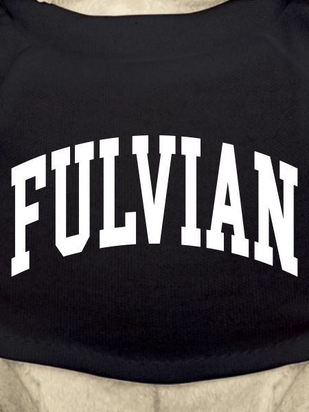 Fulvien