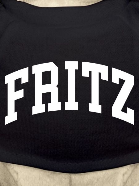 Fritz