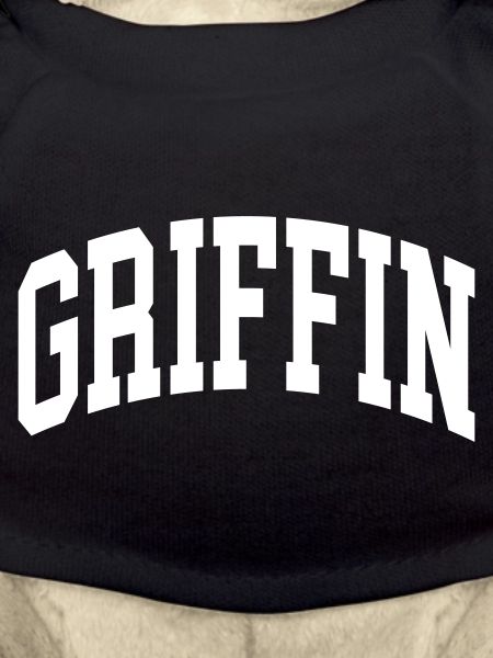 Griffin
