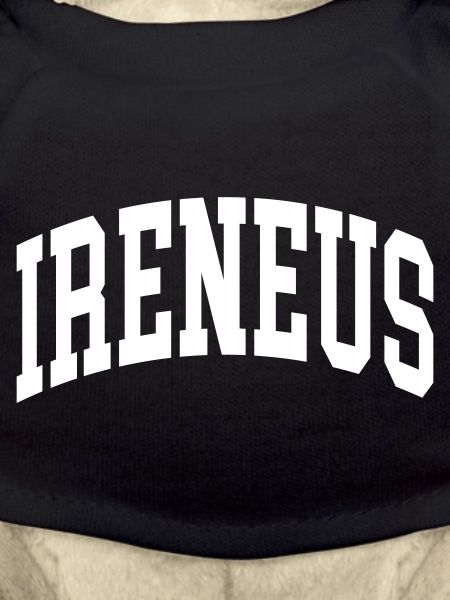 Irénée