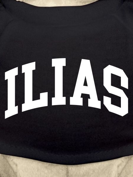 Iliad