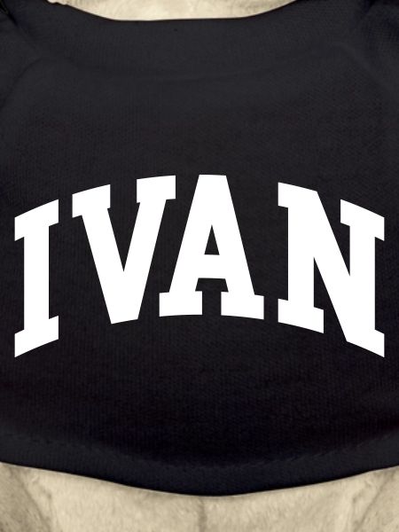 Ivan