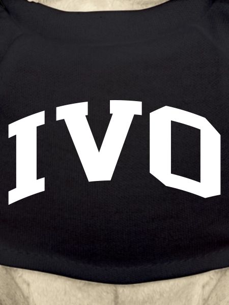 Ivo