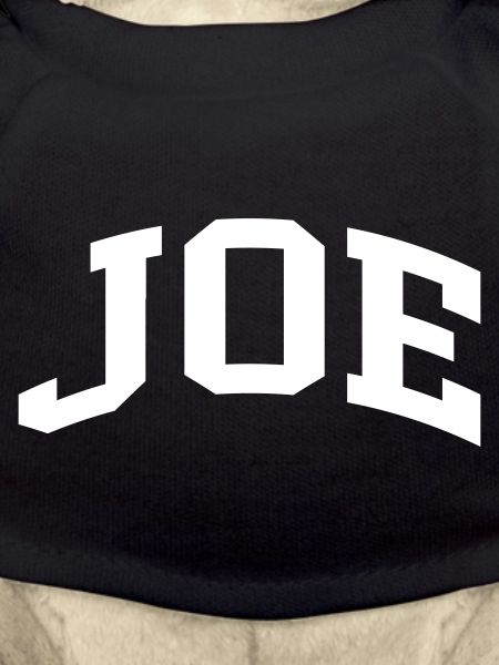 Joe