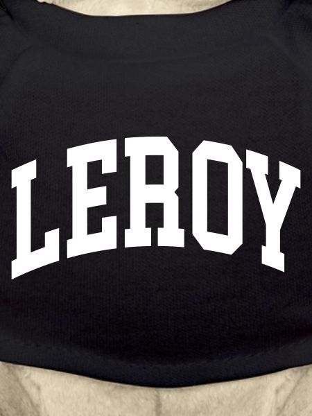 Leroy