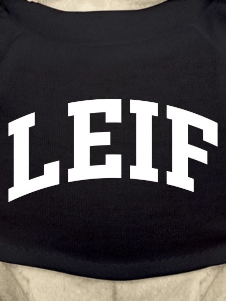 Leif