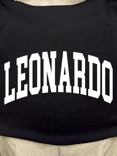 Leonardo