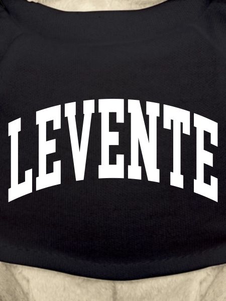 Levente