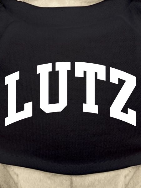 Lutz