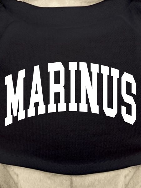 Marinus