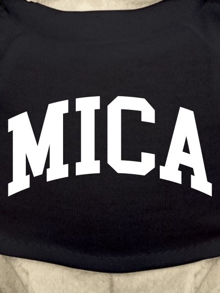 Mica