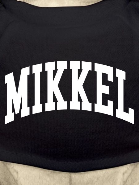 Mikkel