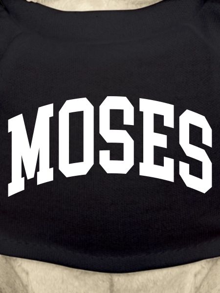 Moses