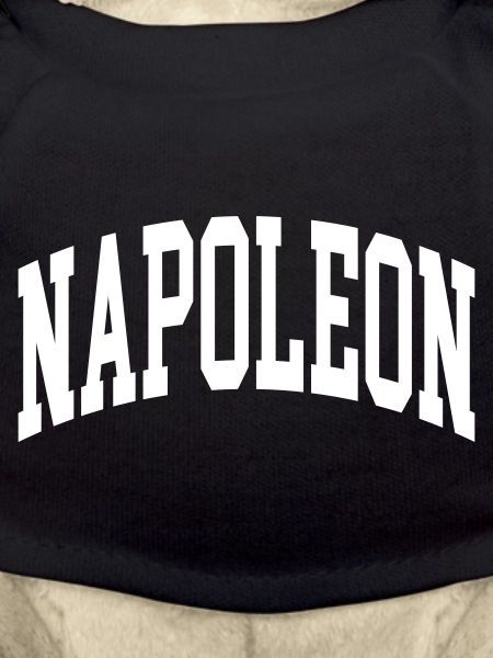 Napoleon