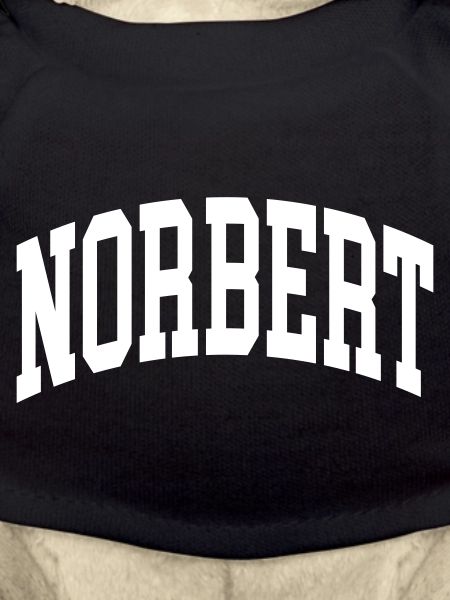 Norbert