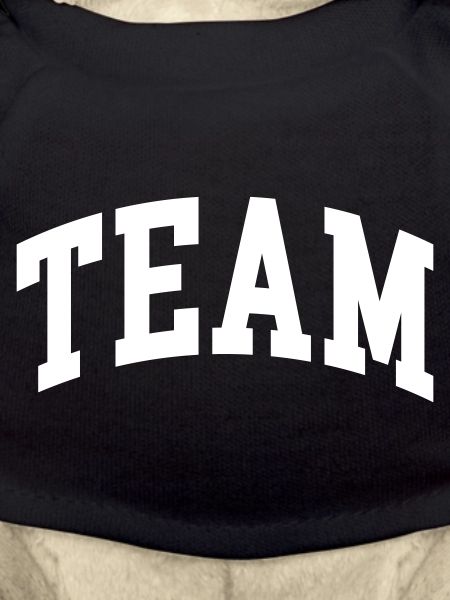 Team
