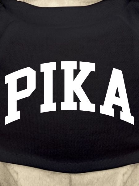 Pika