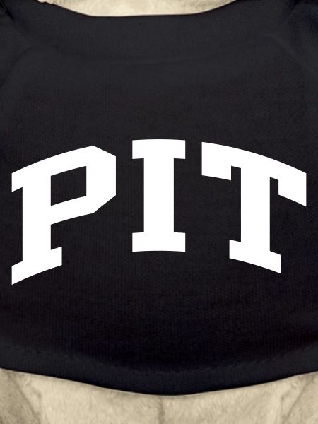 Pit
