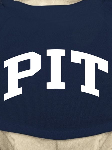 Pit
