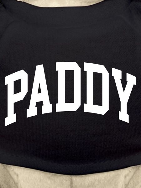 Paddy