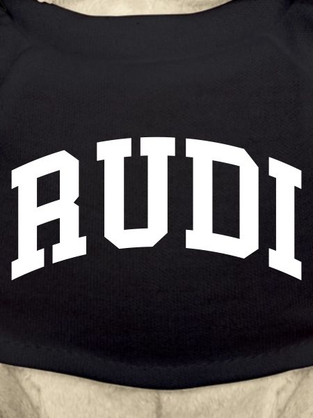 Rudi