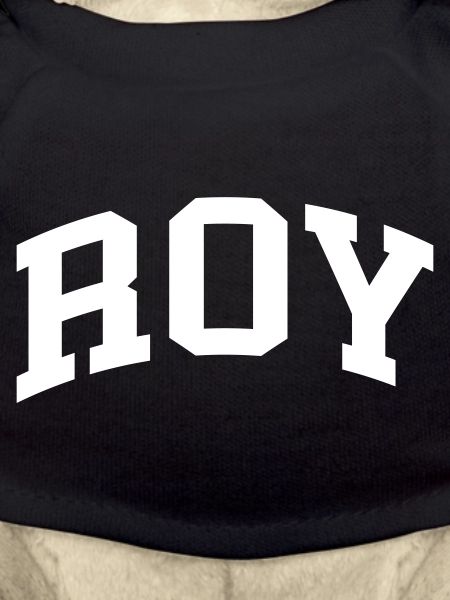 Roy